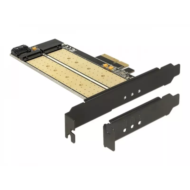 DeLOCK 89630 Vidinė PCIe sąsajos plokštė su dviem M.2 lizdais (SATA ir PCIe)