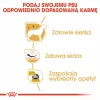 Royal Canin BHN West Highland White Terrier Adult - sausas ėdalas suaugusiems šunims - 3 kg