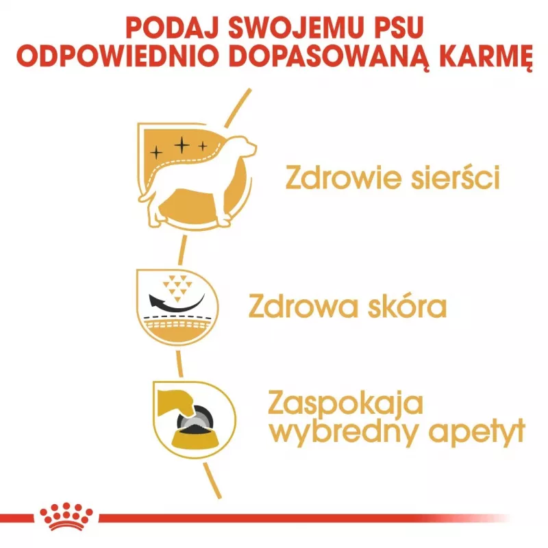 Royal Canin BHN West Highland White Terrier Adult - sausas ėdalas suaugusiems šunims - 3 kg