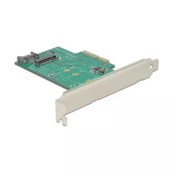 DeLOCK 89381 vidinė PCIe sąsajos plokštė M.2 SATA lizdui