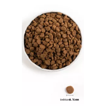 ORIJEN Original Dog - sausas šunų ėdalas - 11,4 kg