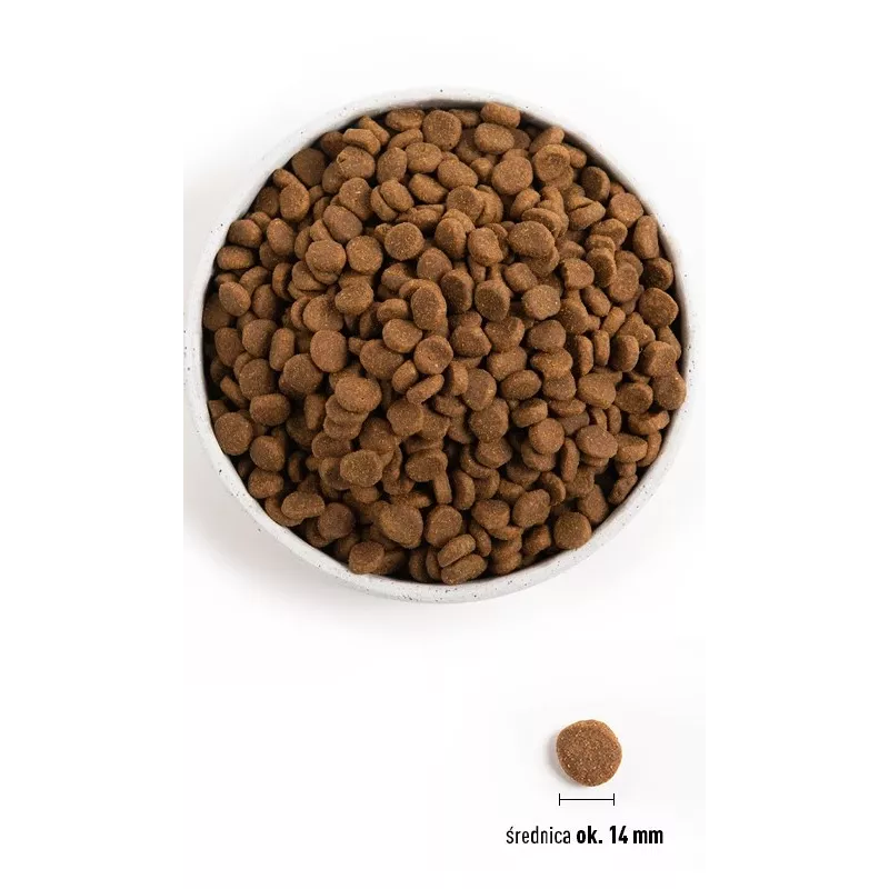 ORIJEN Original Dog - sausas šunų ėdalas - 11,4 kg