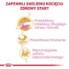 ROYAL CANIN Maine Coon Kitten sausas kačių ėdalas - 4 kg