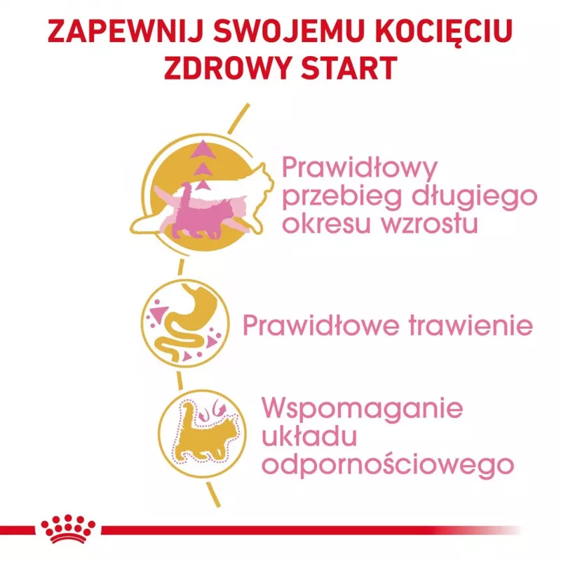 ROYAL CANIN Maine Coon Kitten sausas kačių ėdalas - 4 kg