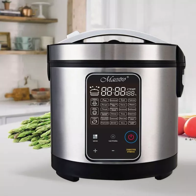 MULTIVIRĖ KLĖ MAESTRO MR-795 26 programų, 700 W