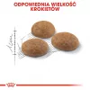 Sausas kačių ėdalas Royal Canin Active Life Outdoor 4 kg – suaugusioms, paukštiena, 30% baltymų, 20% riebalų