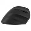 Ergonominė dešiniarankė belaidė pelė, dvigubas ryšys WL+BT Yenkee YMS 5060P
