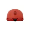 Belaidė pelė White Shark GM-5014 Graphene Red USB