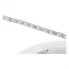 Synergy 21 LED Flex Strip 5050 - 60 RGB DC24V + RGB-W vieno lusto šilta balta IP68