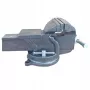 Sukamasis šaltkalvio spaustuvas Smart365 125 mm nasrų plotis SM-53-05125