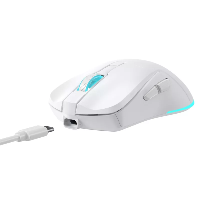 Belaidė pelė Baracuda BGM-122 Turtle White TURTLE-W