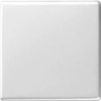 Gira 029603 Baltas