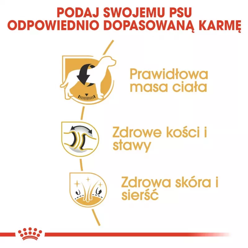 Sausas šunų ėdalas Royal Canin Labrador Retriever Adult 12 kg – paukštiena, 30% baltymų, 13% riebalų