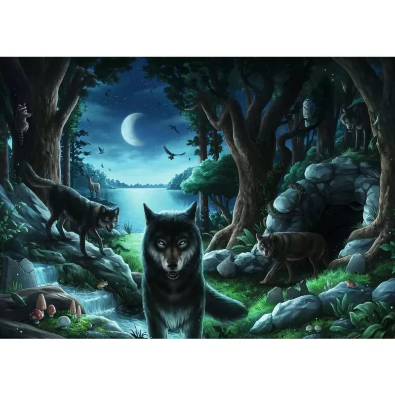 Kontūrinis dėlionė Ravensburger 15028