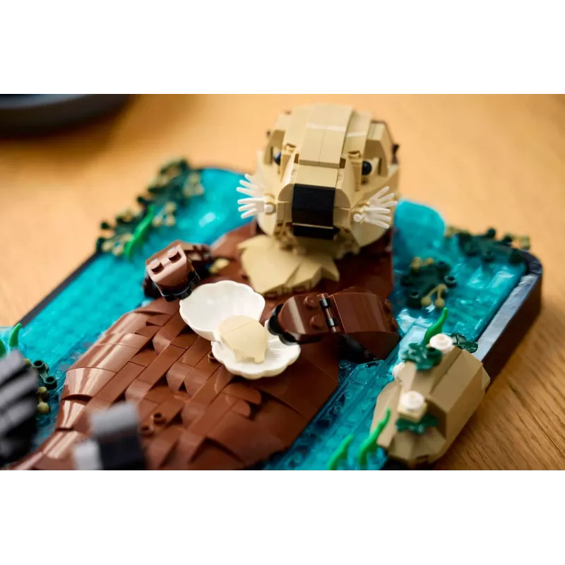LEGO IDEAS 21366 Plūduriuojantys jūriniai ūdros