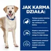 HILL'S PD D/D Food Sensitivities, antis ir ryžiai - sausas šunų maistas - 4 kg