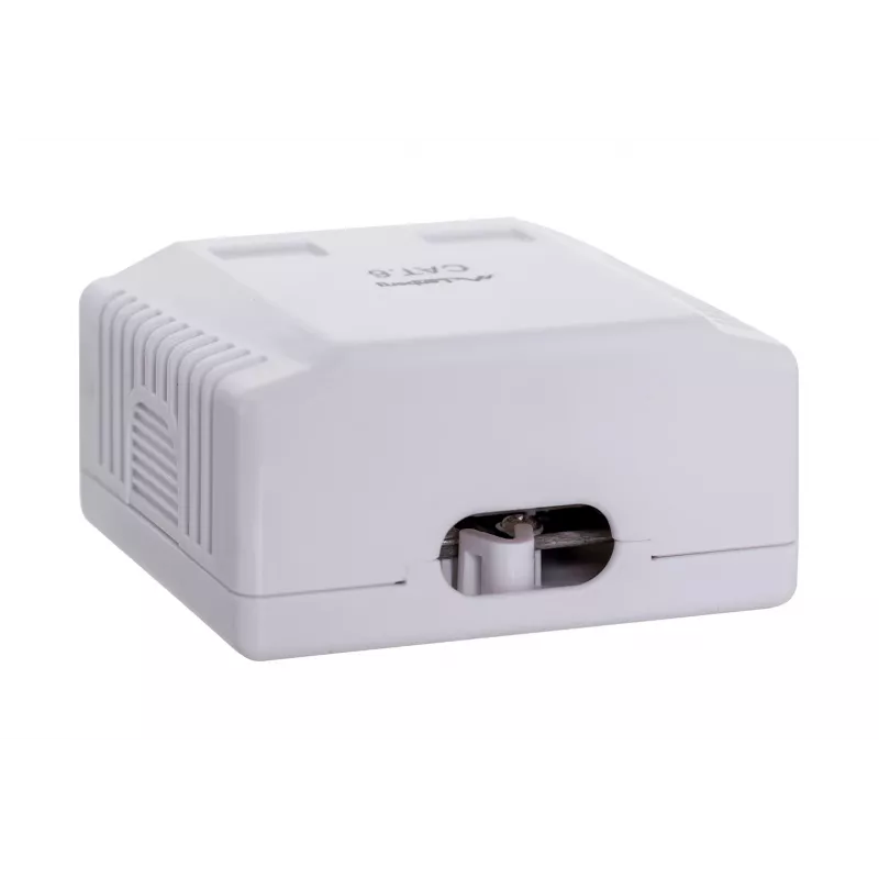 LANBERG OU6-0002-W kištukinis lizdas RJ-45 Cat6 baltas, 2 prievadai, 30×54×57 mm