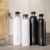 BRITA 118426 karbonizavimo butelis – 1 L stiklinis butelis su nerūdijančio plieno dangteliu, 287 mm aukštis, 2 vnt. pakuotė