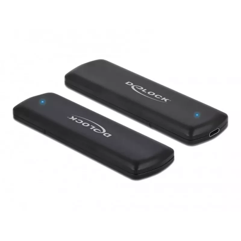 DeLOCK 42633 išorinis SSD dėklas USB Type-C (NVMe/SATA M.2)