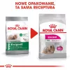 Sausas šunų ėdalas Royal Canin Mini Exigent 1 kg – mažų veislių suaugusiems, 30% baltymų, 22% riebalų