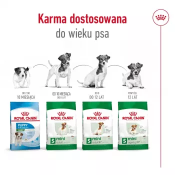 ROYAL CANIN Mini Ageing Adult +12 – sausas šunų ėdalas – 3,5 kg