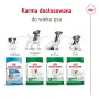 ROYAL CANIN Mini Ageing Adult +12 – sausas šunų ėdalas – 3,5 kg