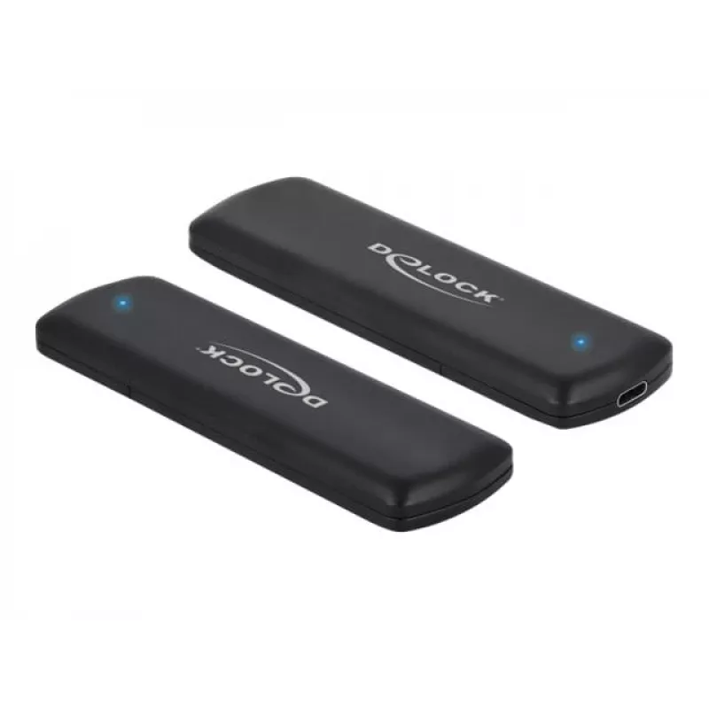 DeLOCK 42633 išorinis SSD dėklas USB Type-C (NVMe/SATA M.2)