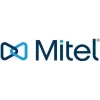 Baterijų paketas MITEL Standard 612/622/632/650 serijoms (modelis 68768XXX)