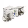 DeLOCK Keystone modulis RJ45 kištukas į LSA Cat.6A metalinis fiksatorius beįrankis 90° kampu ekranuotas