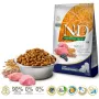 FARMINA N&D Ancestral Grain Puppy Medium&Maxi Ėriena - sausas šunų ėdalas - 12 kg