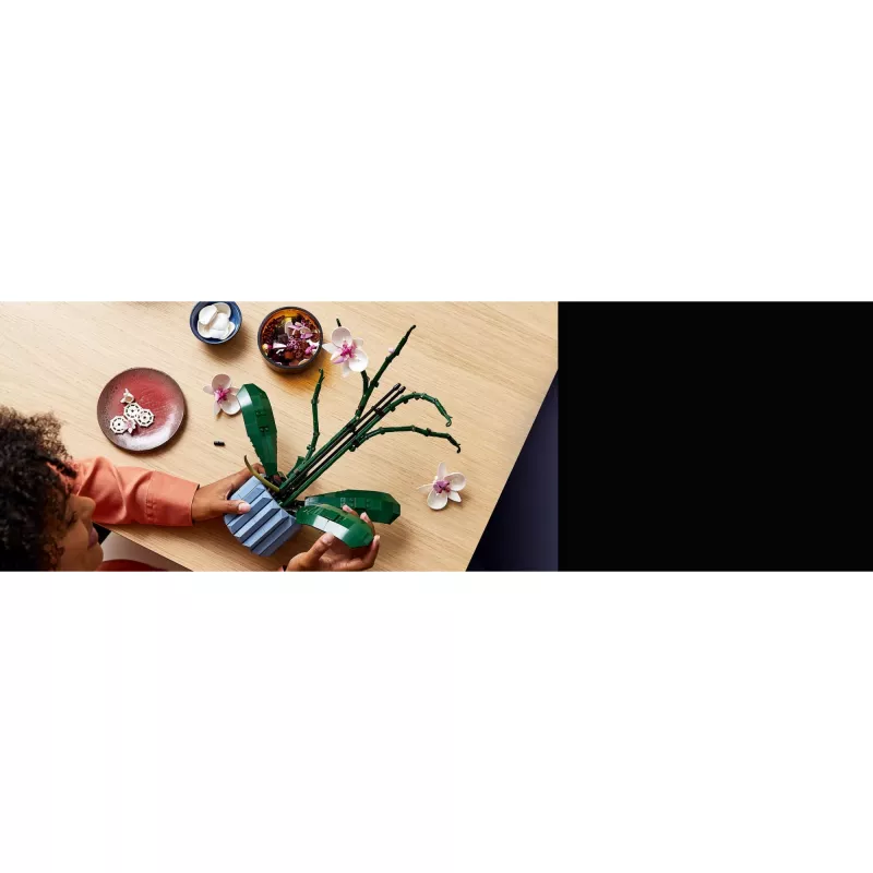 LEGO 10311 Icons Orchid – Dirbtinio augalo konstruktorius su gėlėmis, namų dekoro aksesuaras suaugusiems, Botaninė kolekcija, dovana vyrui ar žmonai