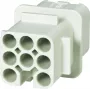 Harting 09 21 007 3131 jungtis