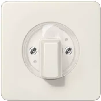 JUNG CD 1541 - Dramblio kaulo spalva - 1101-4 - 1101-20 - 11015 - 11120-20 - 1234,10 - 1234,20 - IP44