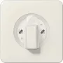 JUNG CD 1541 - Dramblio kaulo spalva - 1101-4 - 1101-20 - 11015 - 11120-20 - 1234,10 - 1234,20 - IP44