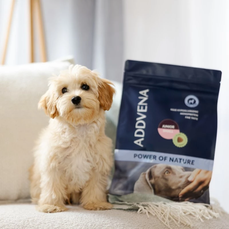 ADDVENA Power of Nature Junior Small Lamb sausas šunų ėdalas - 2,5 kg
