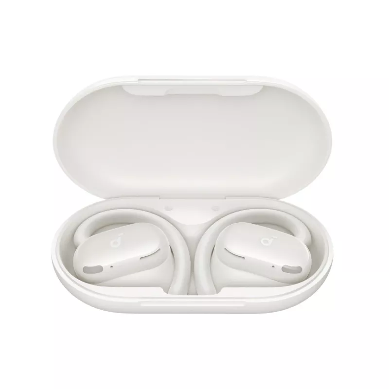 Ausinės Soundcore V20i baltos