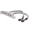 Laikiklio juostelė USB 2.0 HighSpeed 2xIDC (5pin)/4xUSB A M/F Pilka 0.25m