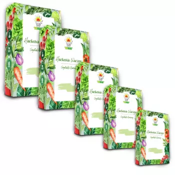 Toraf Seed Set - rinkinys 5x5 2024 Toraf 60x1 vnt.