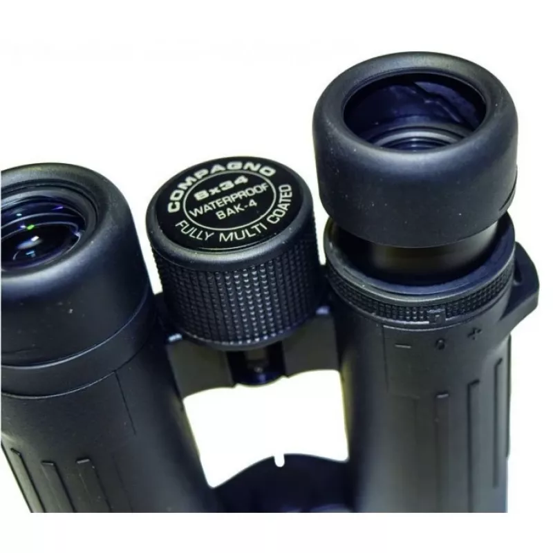 Žiūronai Braun Photo Technik Compagno 10x34 WP BaK-4 Juodi