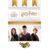 Time's Up Harry Potter, Viktorinos Žaidimas