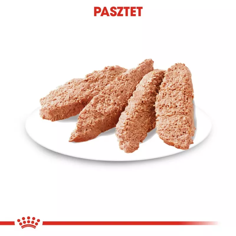 Šlapias šunų ėdalas Royal Canin Exigent Meat Universal 12×85 g — paukštiena, suaugusiems, išrankiems šunims