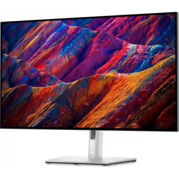 Dell RP 32 4K USB-C Hub Monitor 32 colių IPS LCD 3840x2160