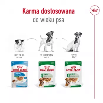 Šlapias šunų ėdalas Royal Canin Mini Ageing 12+ suaugusiems sėti 85 g – mažos veislės, paukštiena, senjorams