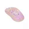 Pelė White Shark GM-9004 Tristan-2 rožinė RGB USB