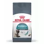 Sausas kačių ėdalas Royal Canin Hairball Care 10 kg – suaugusioms katėms, kukurūzai ir paukštiena