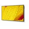 NEC MultiSync M651-2 profesionalus ekranas 65 colių LED 4K Ultra HD 500 cd/m² juodas