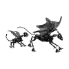 LEGO HARRY POTTER 76458 Thestral Family – Užburtojo miško Thestraliai