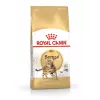 Royal Canin FBN Bengal Adult sausas maistas katėms, 10 kg