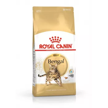 Sausas kačių ėdalas Royal Canin Bengal Adult 10 kg – vištiena, 40% baltymų, 18% riebalų