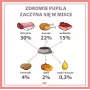 PUPIL Premium All Meat Venison – šlapias šunų ėdalas – 800g